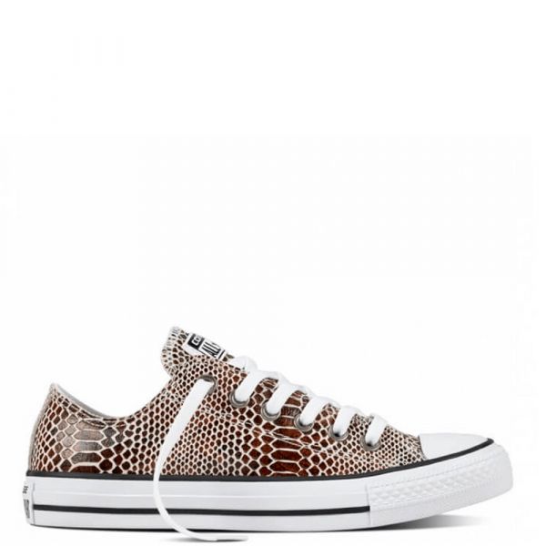 Converse All Star Brown Snake Low