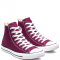 Converse All Star Seasonal Bordo High
